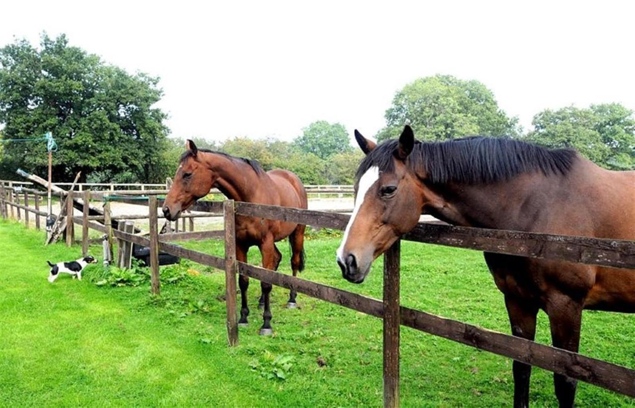 Little Rushbrook Cottages Tanworth Chambre photo
